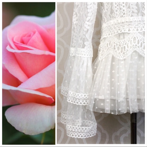 Fancy Lace Peplum Layering Top - Picture 8 of 8